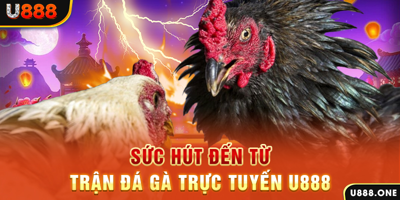85win đá gà trực tiếp c1