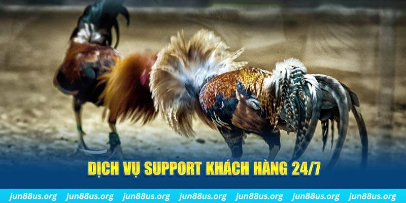 85win ÁT CHỦ BÀI GIÀNH LẤY ZHUANG NIUNIU ( XEM 4 LÁ )