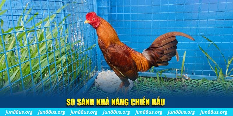 85win CQ9 Điện Tử