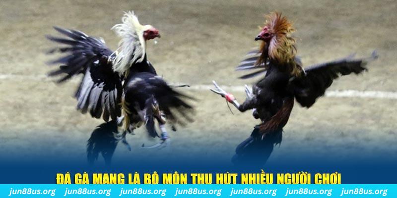 85win bắn cá au88