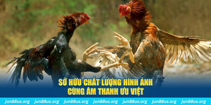 85win PP Điện Tử
