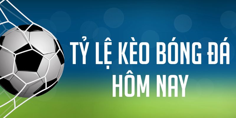 85win gà chọi c1 mới nhất