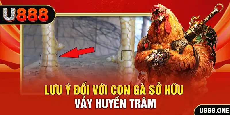 85win kết quả xổ số miền nam hôm nay