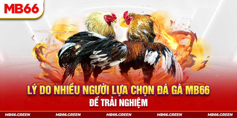 85win xổ số miền bắc thứ bảy hàng tuần