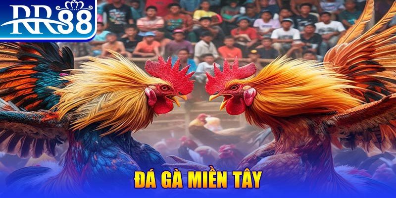 85win no hu doi thuong ai