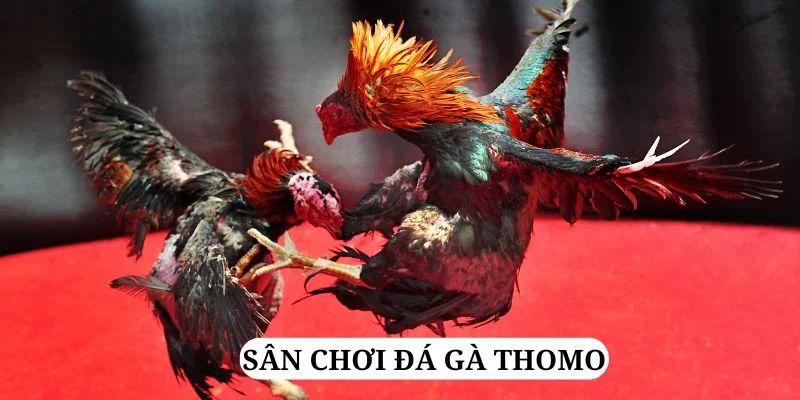 85win trực tiếp xổ số miền bắc